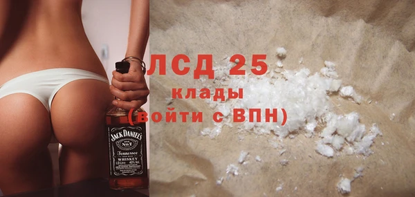 спиды Тавда