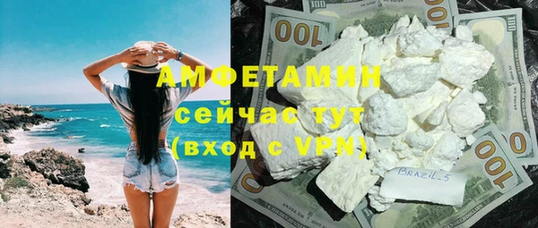 индика Вязники