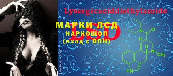 индика Вязники