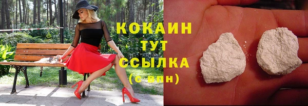 прущие грибы Сясьстрой